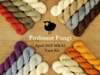 Professor Fungi Mini Skein Kit - Spring 2025 Gnome MKAL - Hand Dyed Yarn, Fingering Sock Weight 4 Ply Superwash Merino Wool, Sock Yarn Set
