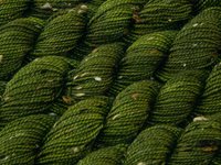 TWEED Sock Yarn Mini Skeins, Fingering Weight Superwash Merino Wool & Nylon - Moss Tonal - Olive Green Knitting Yarn with Tweedy Neps