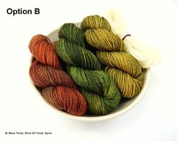 Mini Skein Kit for Oh Gnome, You Didn’t MKAL - Gnellie - Hand Dyed Yarn, Sock Weight 4 Ply Superwash Merino Wool, Fingering Sock Yarn Set