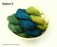 Mini Skein Kit for Oh Gnome, You Didn’t MKAL - Gnellie - Hand Dyed Yarn, Sock Weight 4 Ply Superwash Merino Wool, Fingering Sock Yarn Set