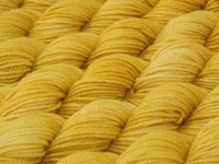 Mini Skeins Hand Dyed Yarn, Sock Fingering Weight 4 Ply Superwash Merino Wool - Maize - Tonal Pale Gold, Light Yellow Indie Dyed Yarn