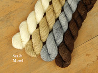 Professor Fungi Mini Skein Kit - Spring 2025 Gnome MKAL - Hand Dyed Yarn, Fingering Sock Weight 4 Ply Superwash Merino Wool, Sock Yarn Set