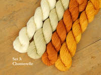 Professor Fungi Mini Skein Kit - Spring 2025 Gnome MKAL - Hand Dyed Yarn, Fingering Sock Weight 4 Ply Superwash Merino Wool, Sock Yarn Set