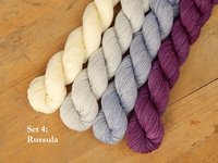 Professor Fungi Mini Skein Kit - Spring 2025 Gnome MKAL - Hand Dyed Yarn, Fingering Sock Weight 4 Ply Superwash Merino Wool, Sock Yarn Set