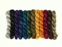 Set of 12 - WORSTED Weight Mini Skeins, Hand Dyed Yarn, 100% Superwash Merino Wool - Saturated, Tonal Colors Knitting Yarn, 20g Per Skein