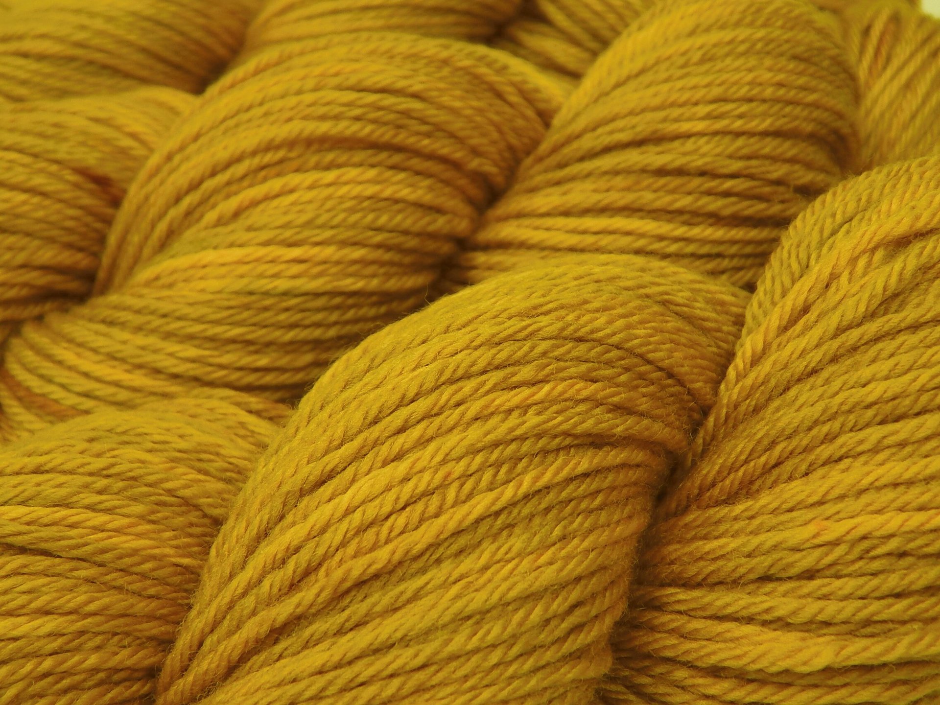 Hand Dyed Yarn, Worsted Weight Superwash Merino Wool - Honey Mustard - Yellow Gold Tonal Indie Dyer Knitting Yarn