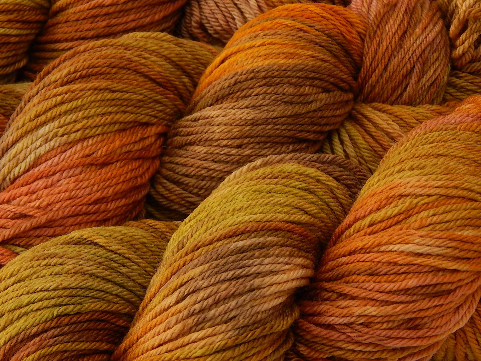 Hand Dyed Yarn, Worsted Weight Superwash Merino Wool - Potluck Late Autumn - Muted Fall Colors, Indie Dyer Knitting Crochet Yarn