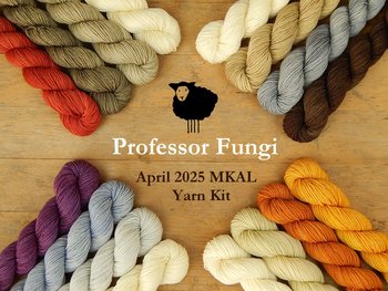 Professor Fungi Mini Skein Kit - Spring 2025 Gnome MKAL - Hand Dyed Yarn, Fingering Sock Weight 4 Ply Superwash Merino Wool, Sock Yarn Set